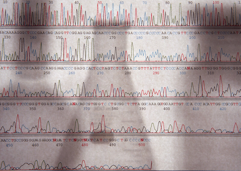 DNA sequencing chromatogram