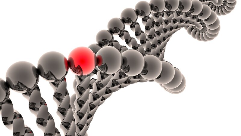 DNA strand with mutation