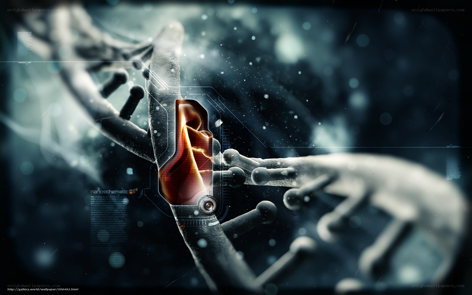 DNA strand with nanoschematic overlay