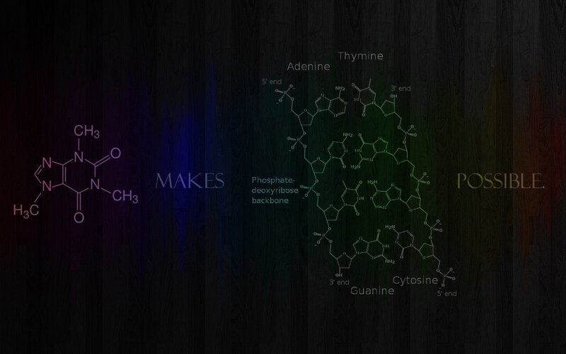 DNA structure and nucleotides