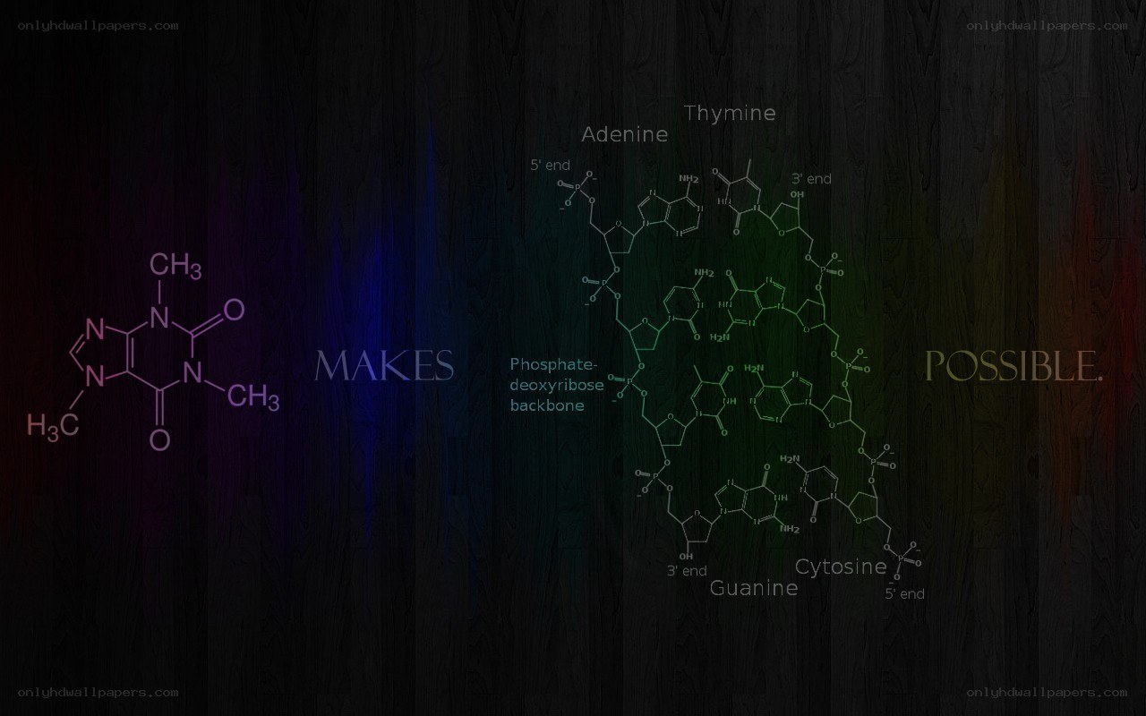 DNA structure and nucleotides