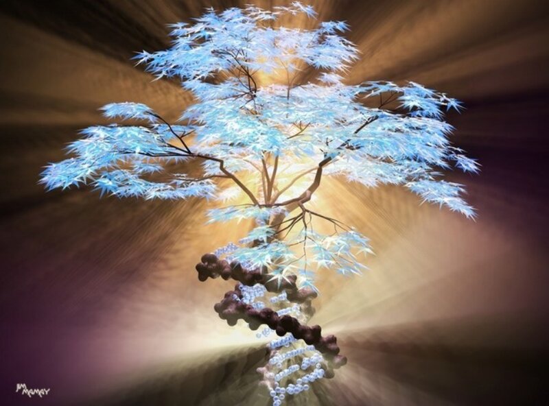 DNA tree with glowing leaves