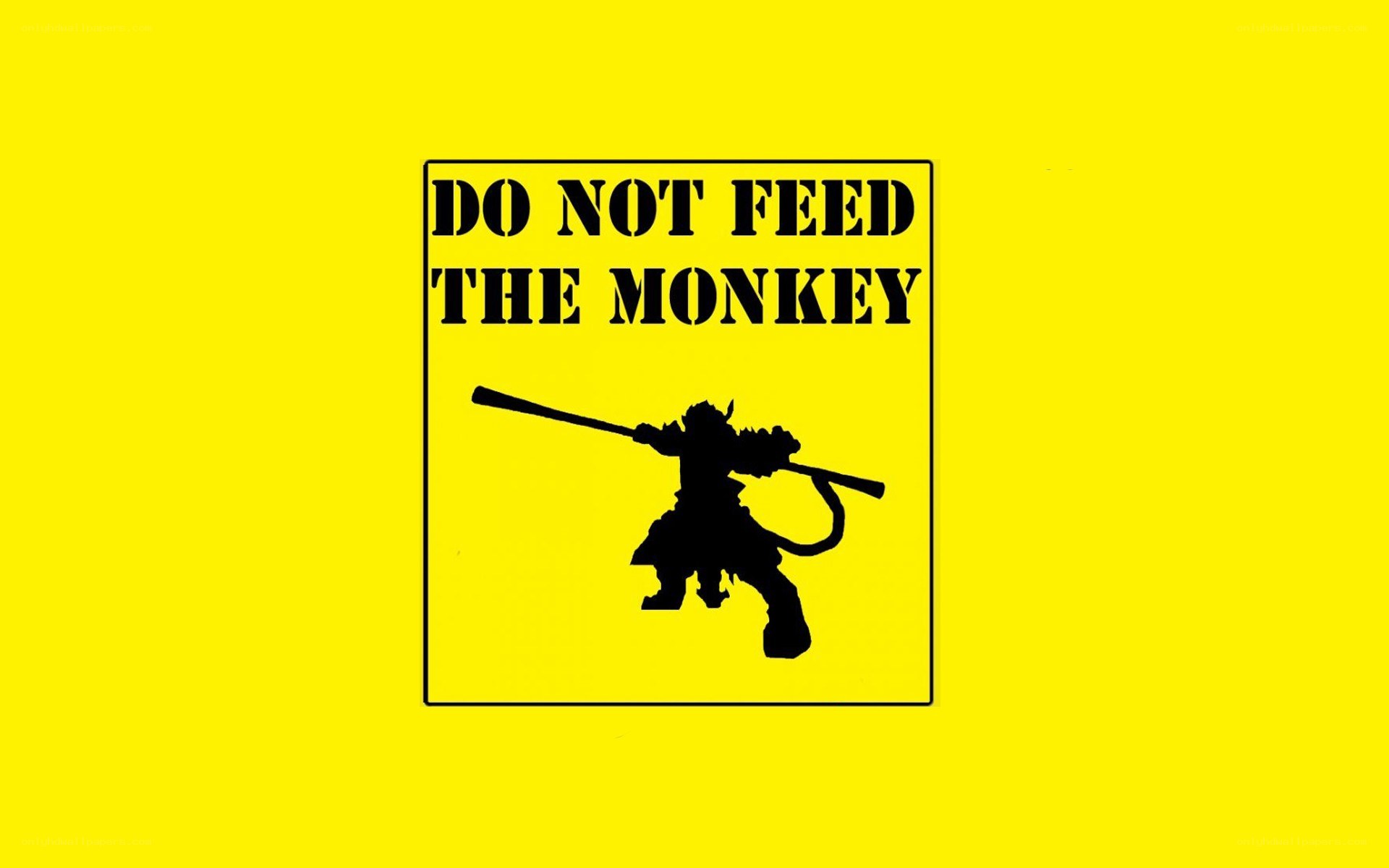Do Not Feed The Monkey