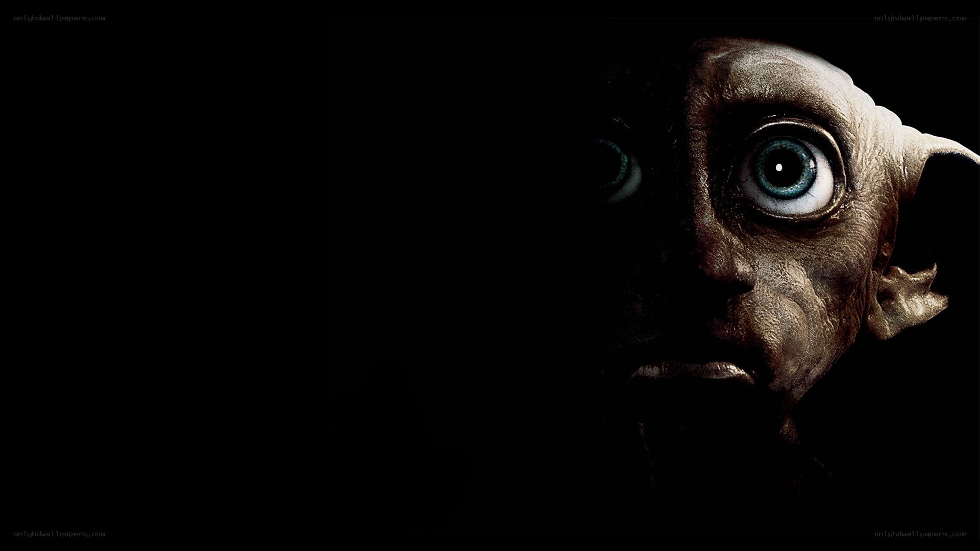 Dobby from Harry Potter