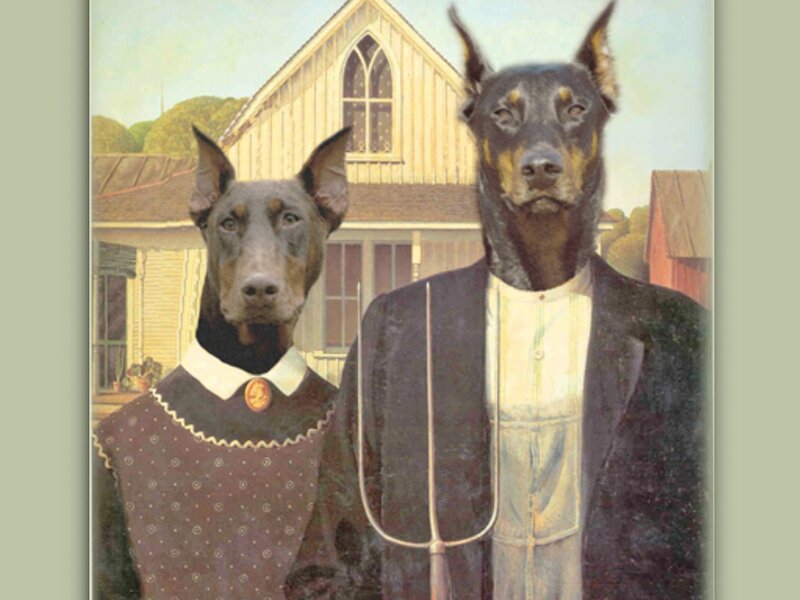 Doberman Couple Portrait