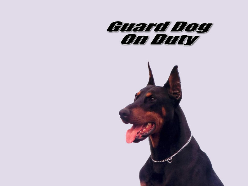 Doberman Dog — Black