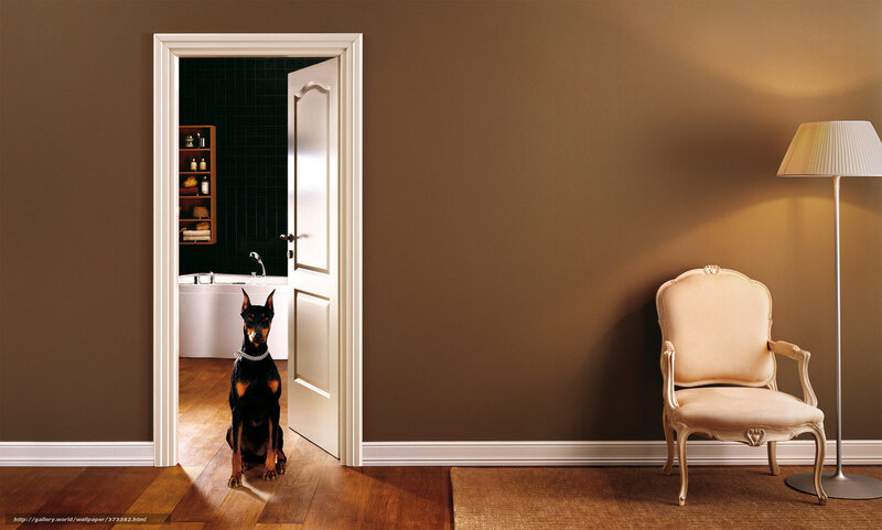 Doberman Dog in Hallway