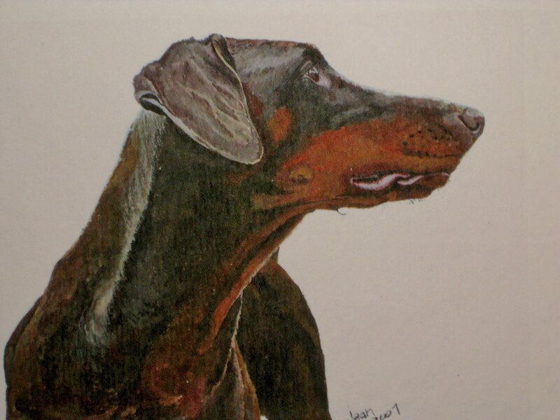 Doberman Dog Portrait — Brown