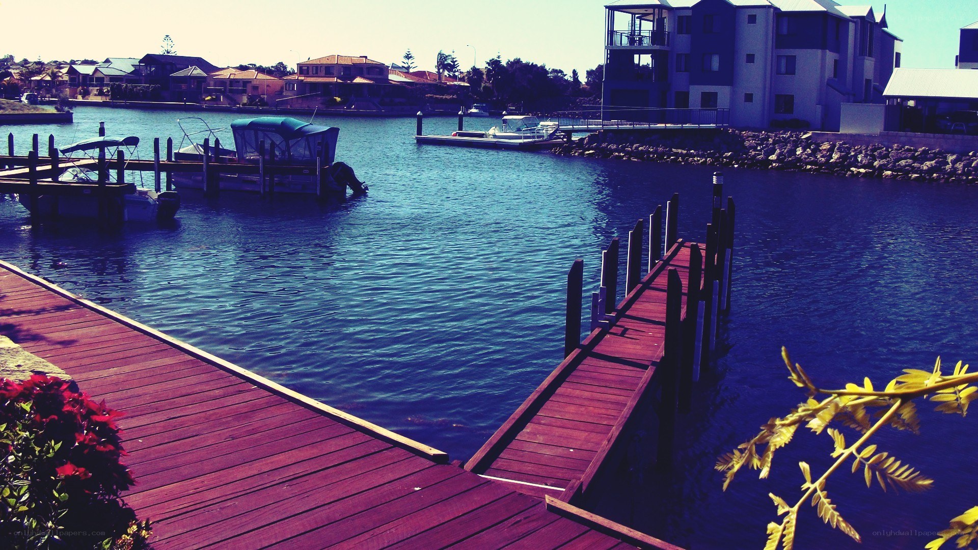Dock at a residential marina