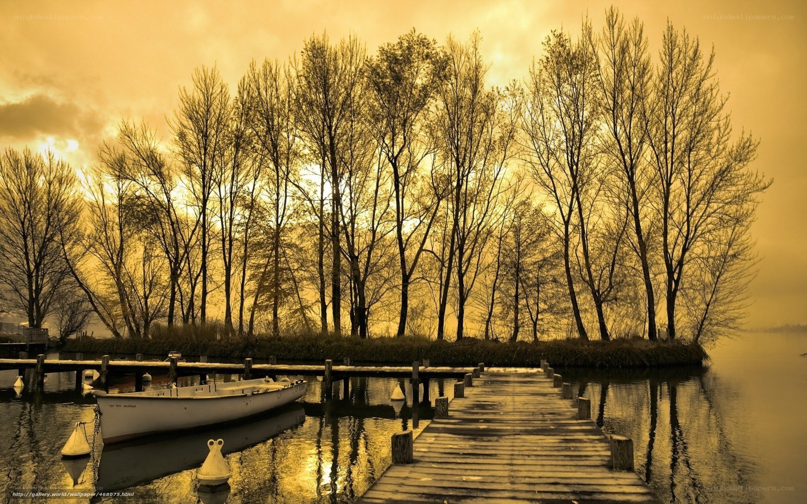 Dock at sunset with bare trees