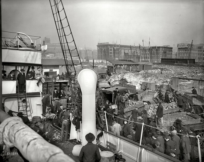 Dock Workers Loading Bananas