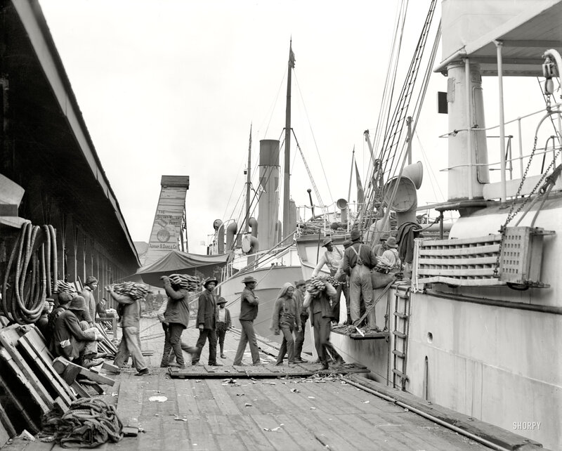 Dock workers loading cargo