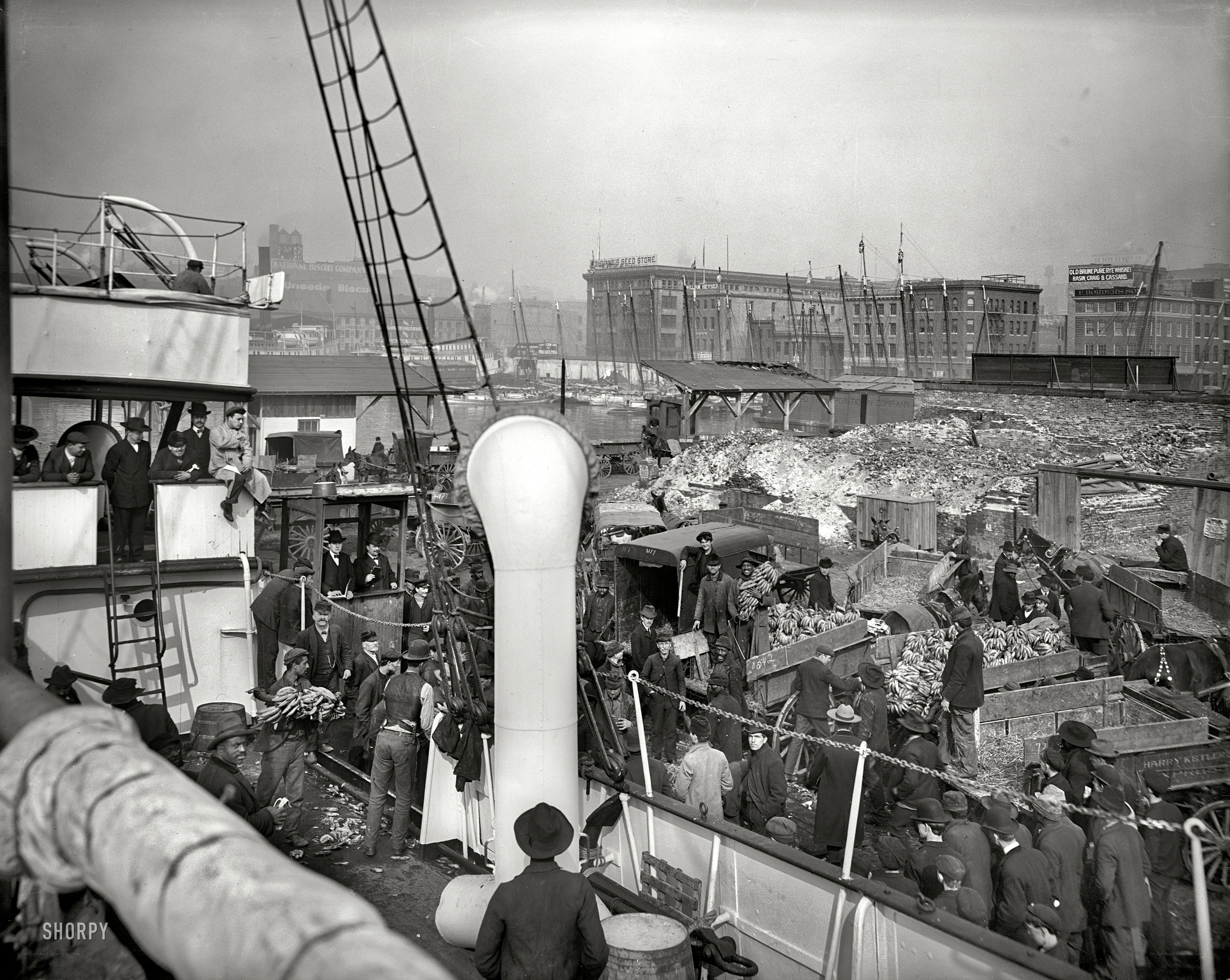 Dockside banana loading scene