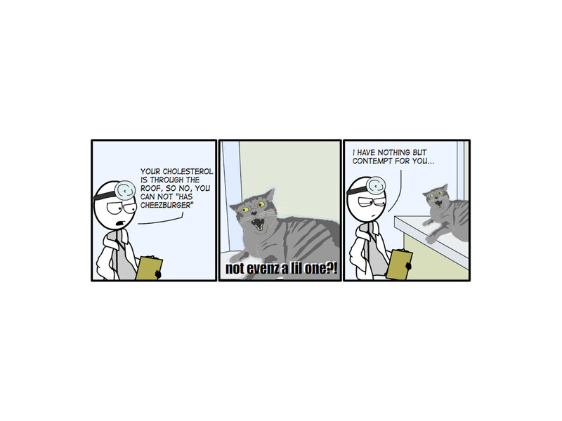 Doctor and cat comic