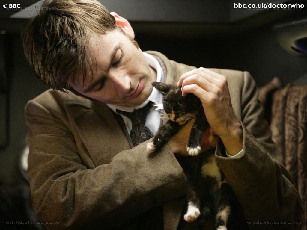 doctor holding a cat