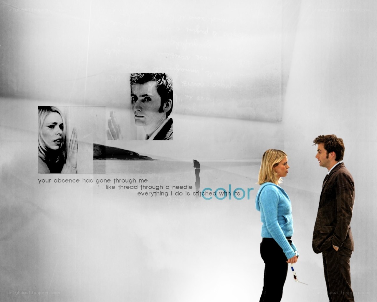Doctor Who collage with Rose