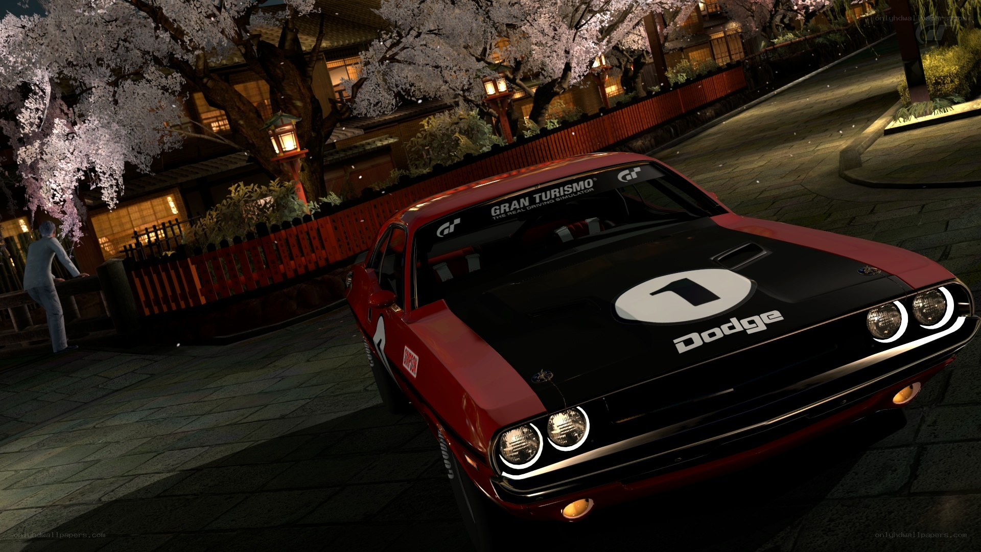 Dodge Challenger in cherry blossom night