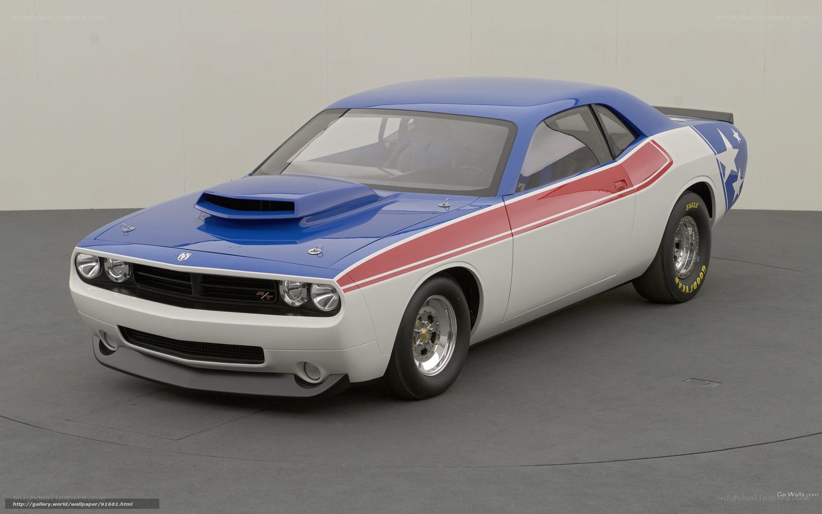 Dodge Challenger race car