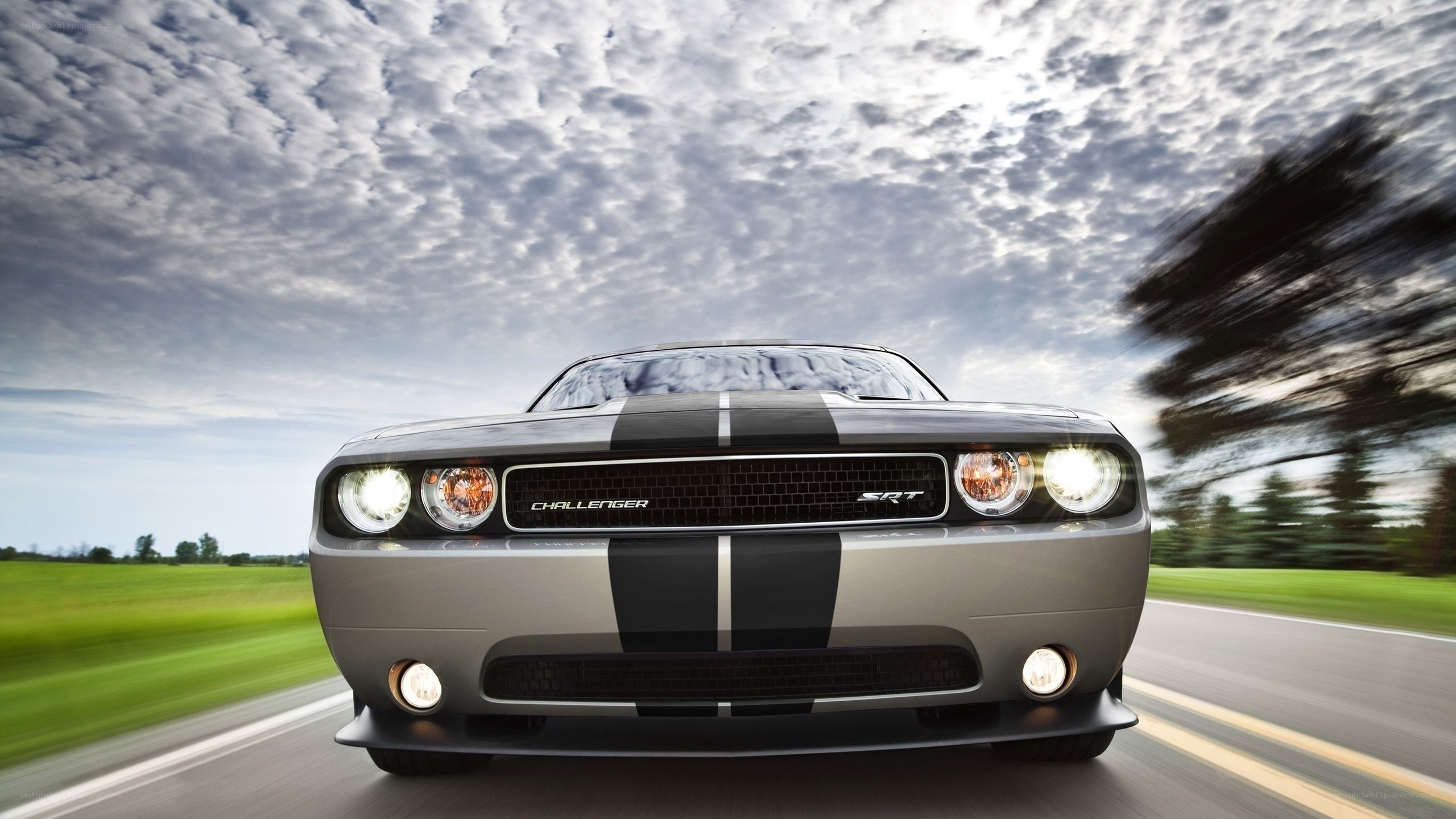 Dodge Challenger SRT in motion