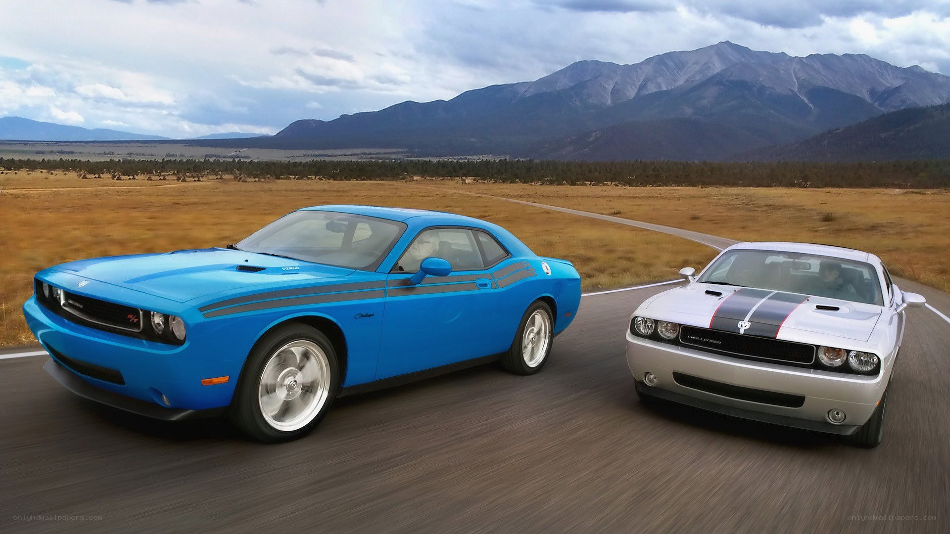 Dodge Challengers on a mountain road