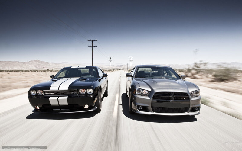 Dodge muscle cars on desert road