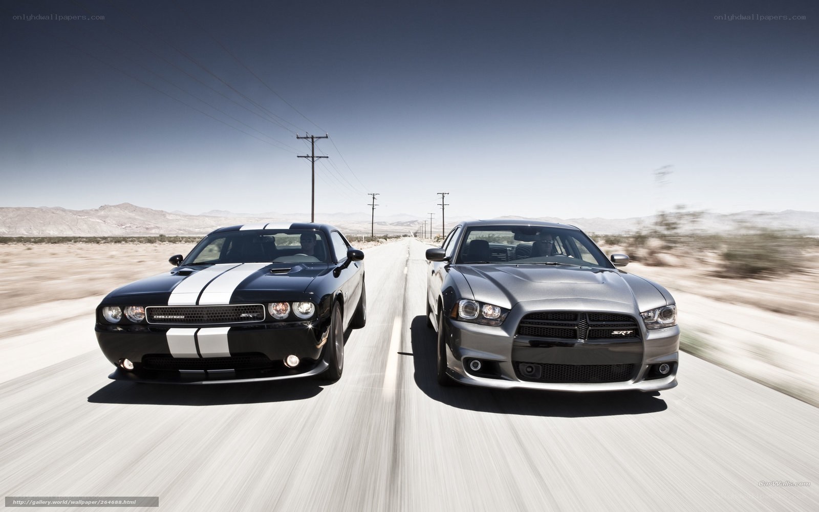 Dodge muscle cars on desert road