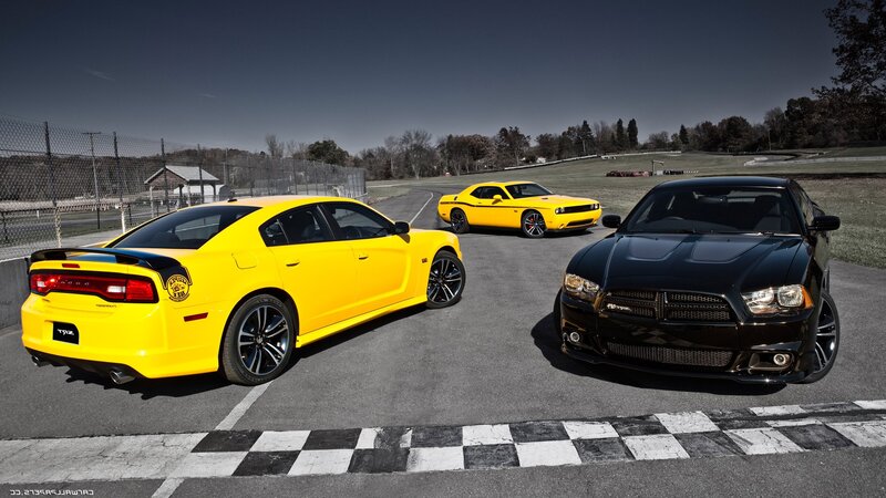 Dodge muscle cars on racetrack