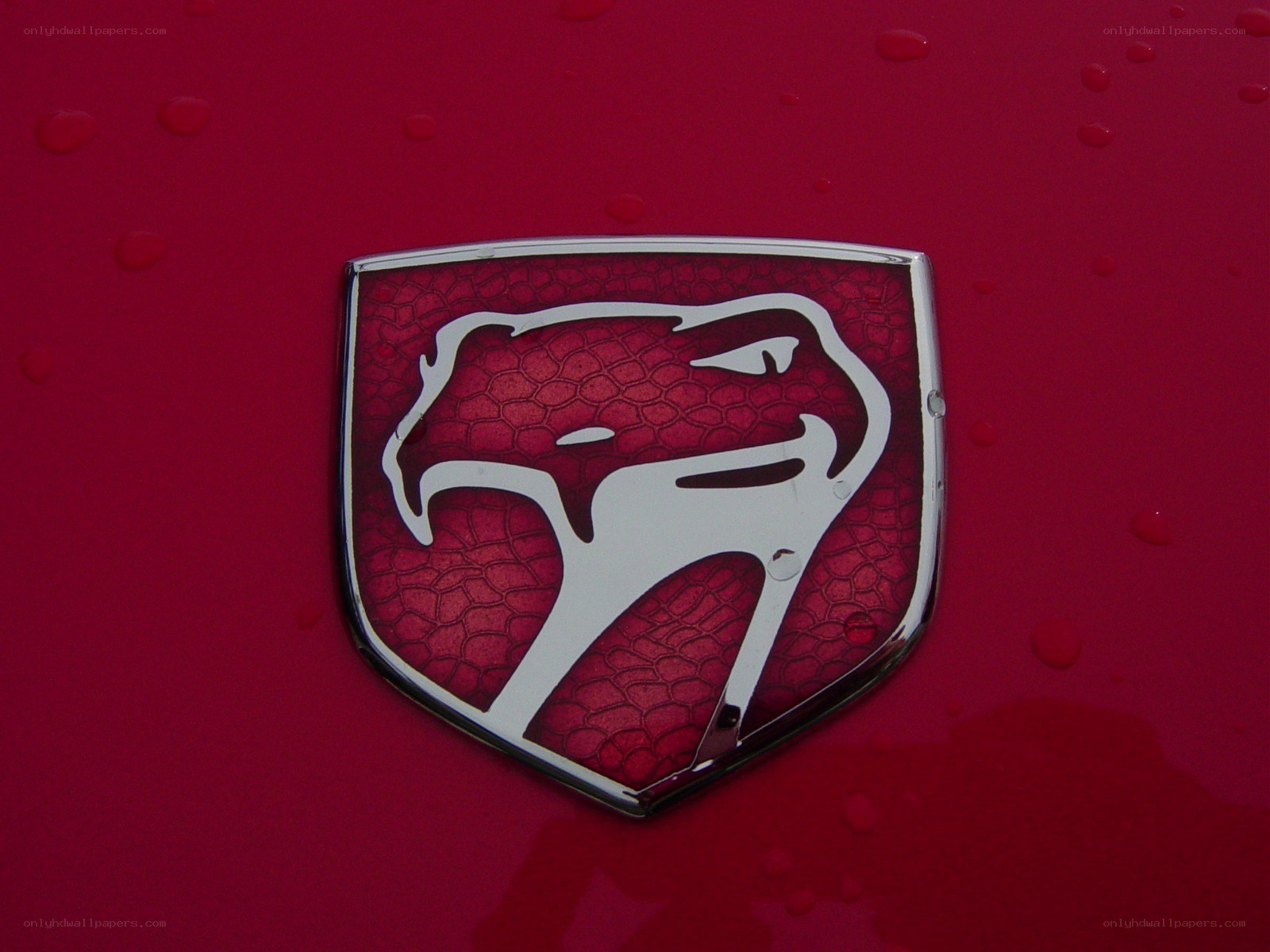 Dodge Ram logo on red car