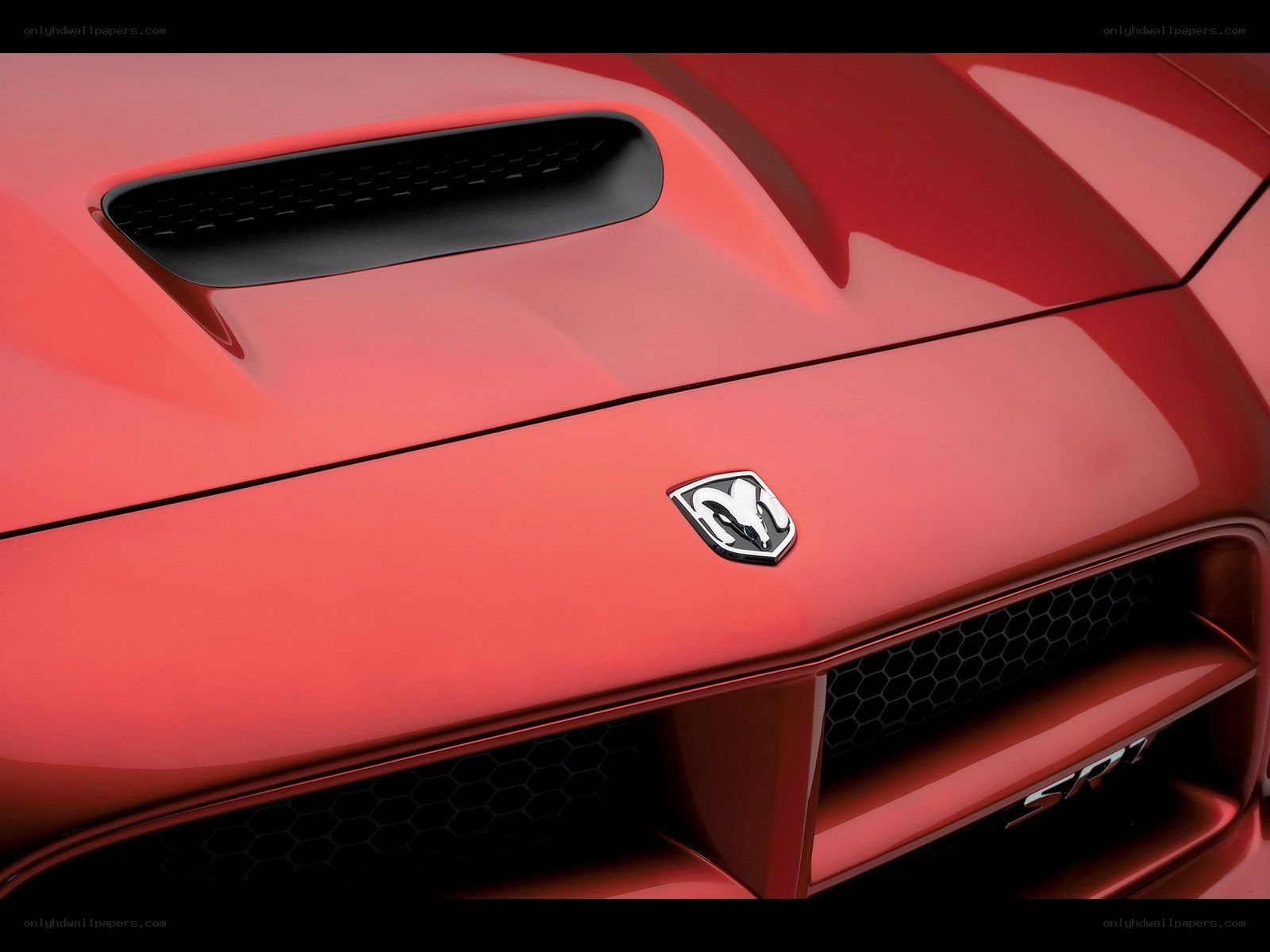 Dodge SRT-10 hood close-up