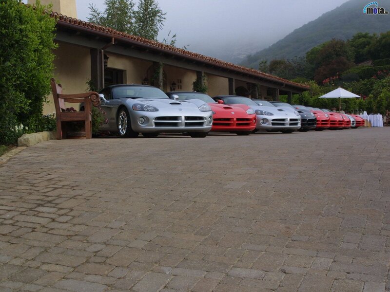 Dodge Viper lineup at estate