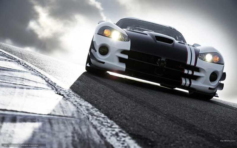 Dodge Viper Race Car — Black
