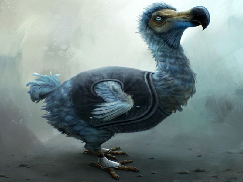 Dodo Bird in Vest