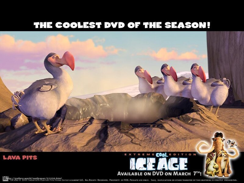 Dodo Birds on Rocks