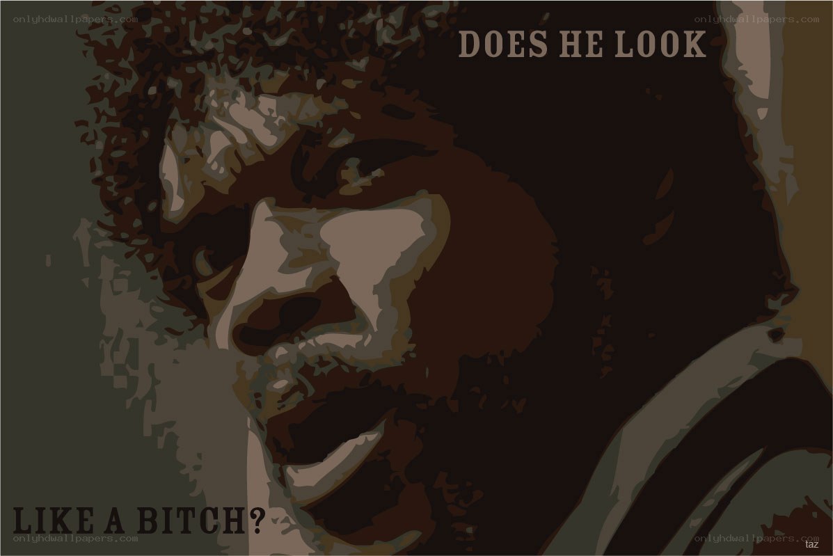 does he look like a bitch