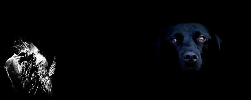 dog and angel in darkness