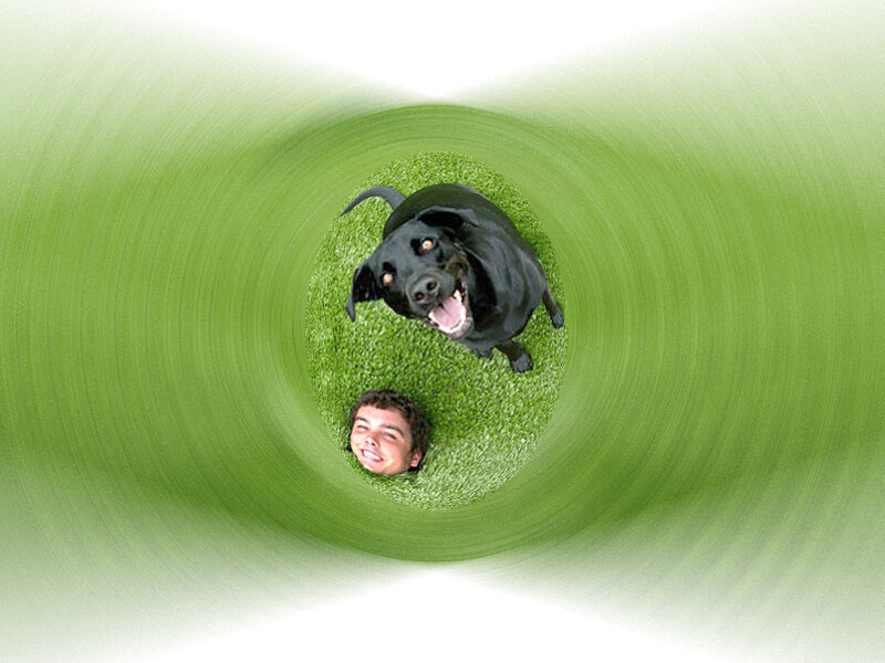 dog and boy in green tunnel