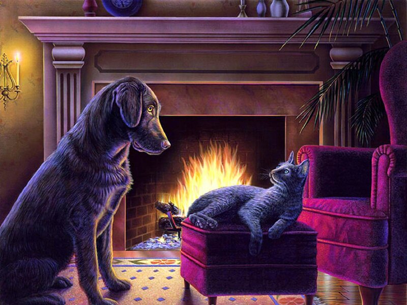 Dog and Cat by Fireplace — Purple