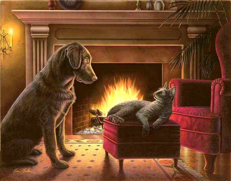 Dog and cat by the fireplace