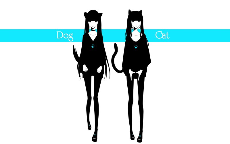 Dog and Cat character design