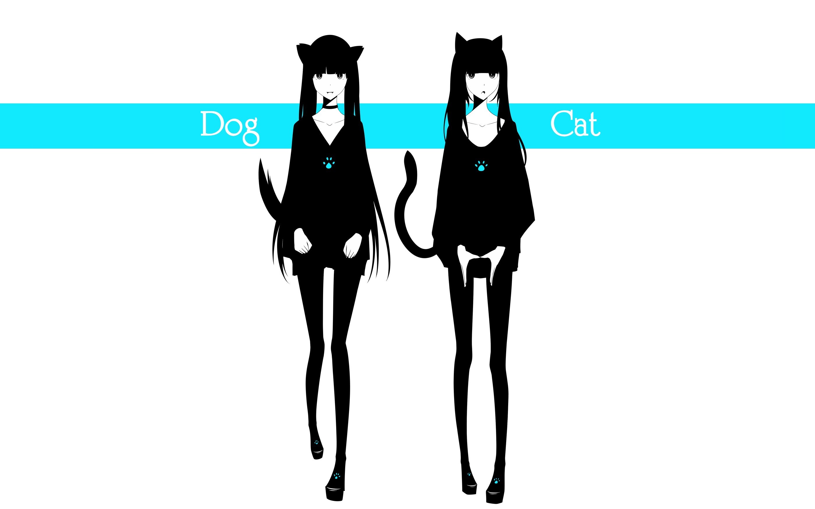 Dog and Cat character design