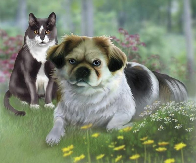 Dog and Cat in Field — Green