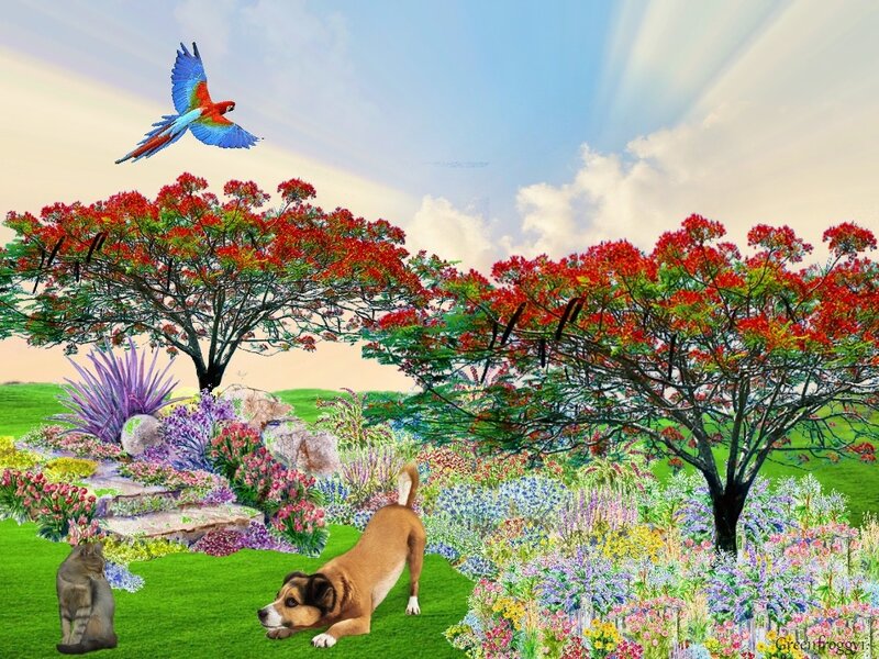 Dog and Cat in Garden — Green