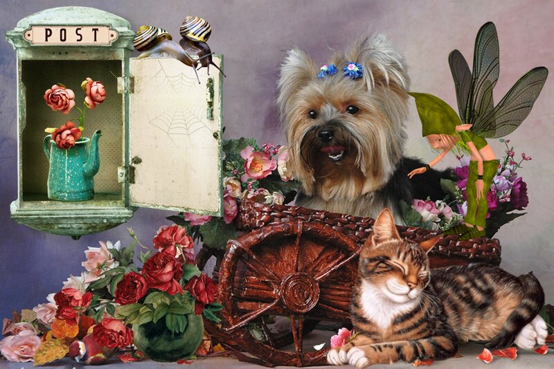 Dog and Cat in Garden