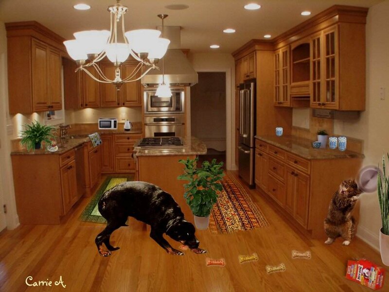 Dog and Cat in Kitchen
