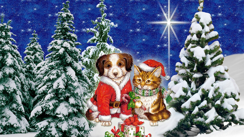 Dog and Cat in Santa Suits