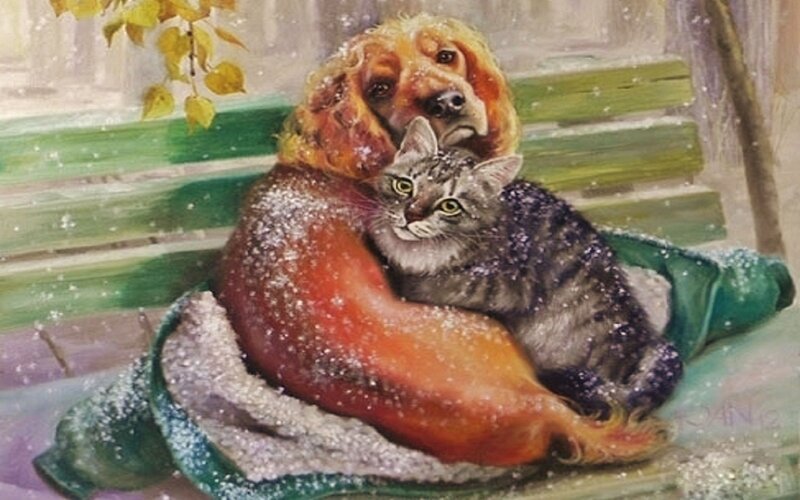 Dog and Cat on Bench