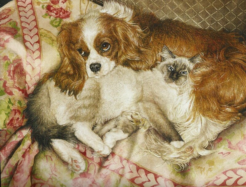 Dog and Cat on Blanket — Brown