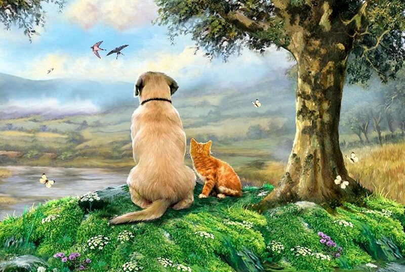 Dog and Cat on Hill