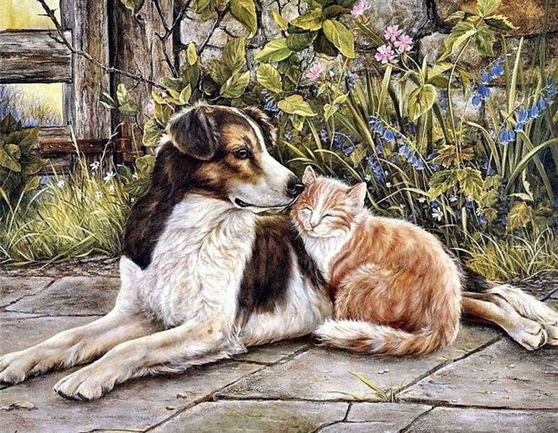 Dog and Cat Resting — Brown