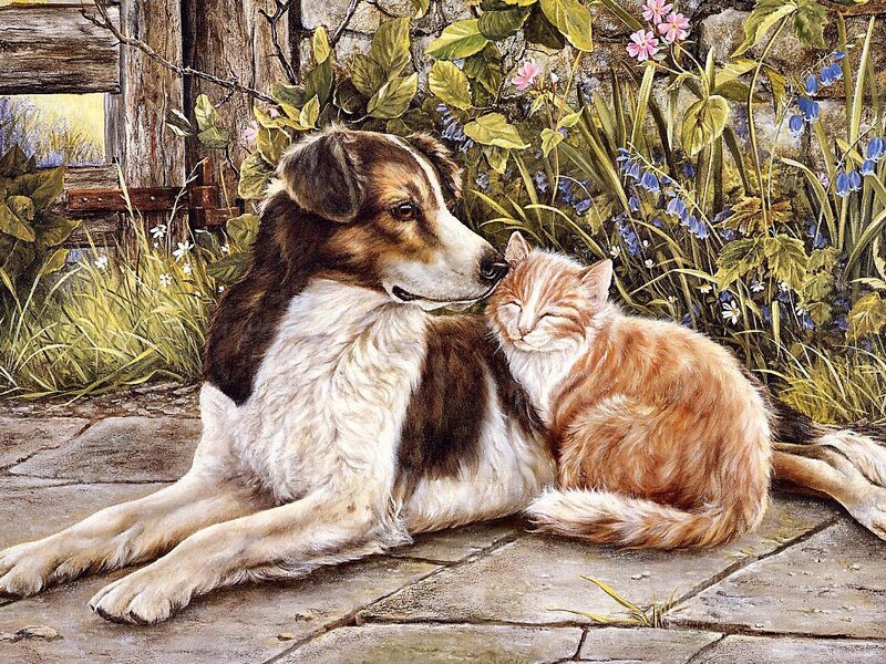 Dog and Cat Resting
